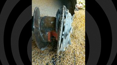GIF image loop showing Laidig Cleansweep silo unloader with oscillating wheel end support bulk material handling system, bridging, rat-holing, material flow, reclaim, reclaimer, silo unloading, unloader, bulk material storage, reclaim system, dry bulk unloading, ethanol, biofuel, biodiesel, feed and grain